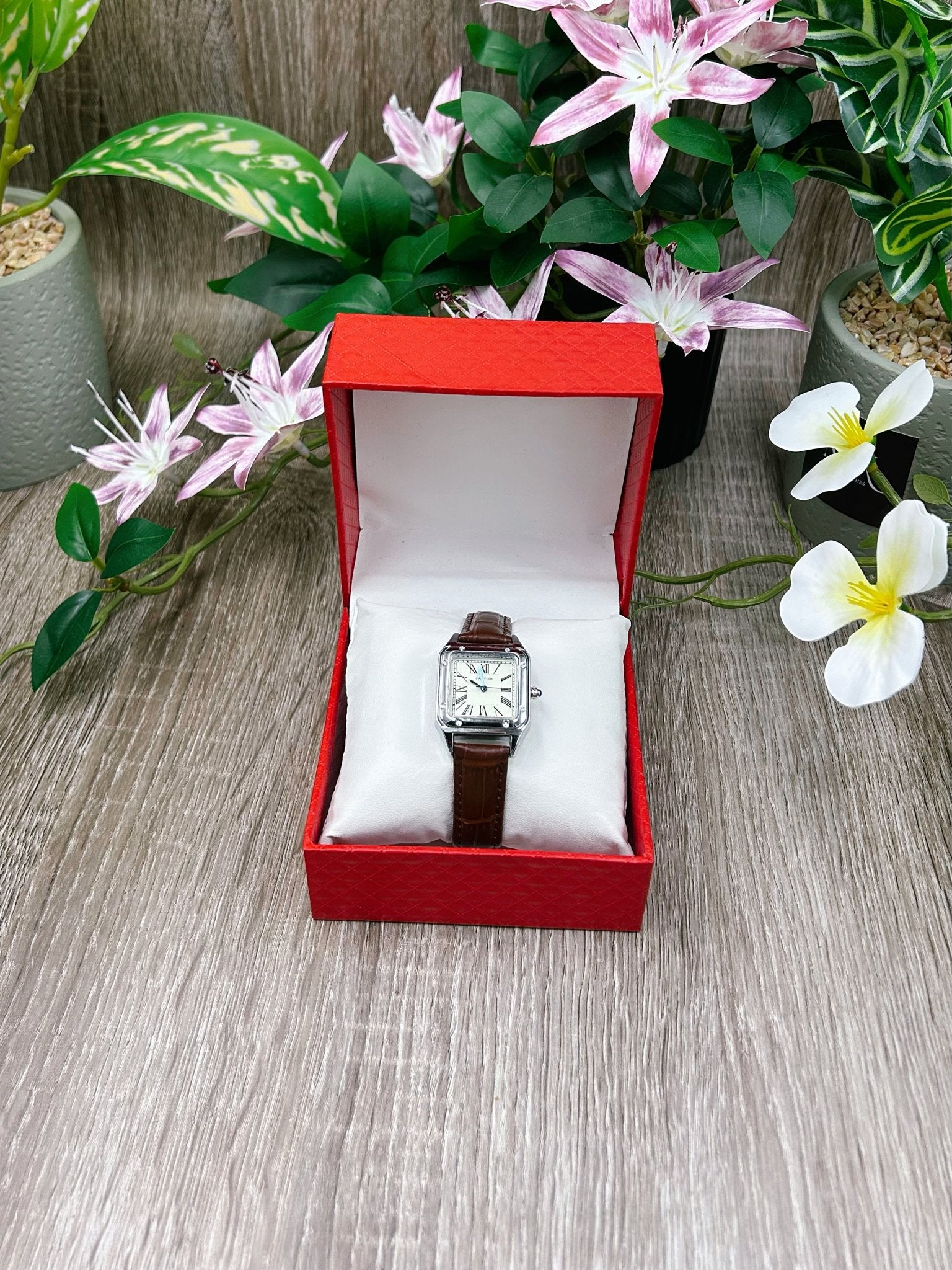 CRT SANTOS MARRON - MK WATCHES