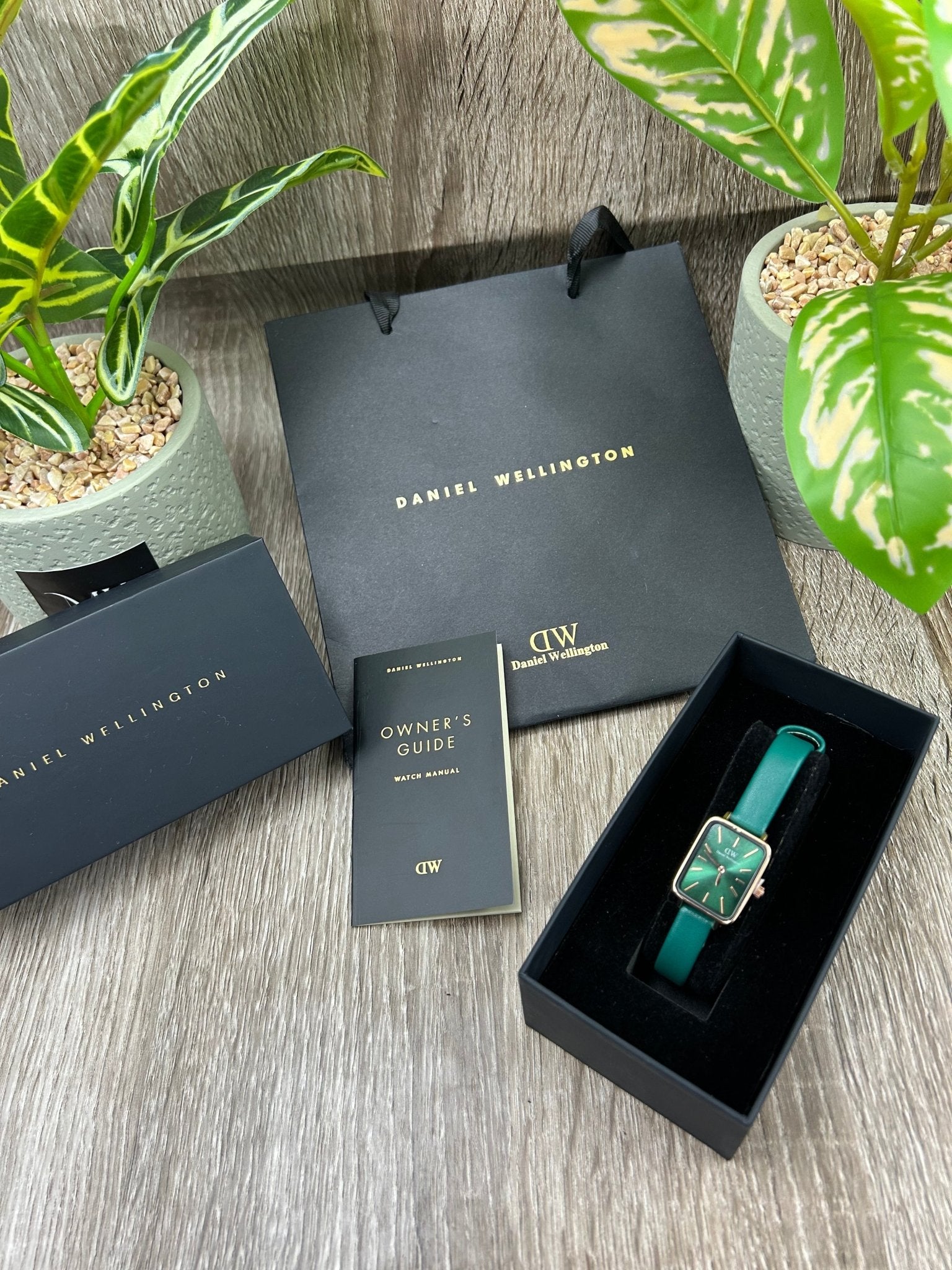 DANIEL WELLINGTON CUIR FEMMES - ladies watches